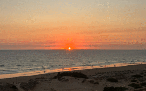 Lee más sobre el artículo Recomendaciones del mes de Agosto