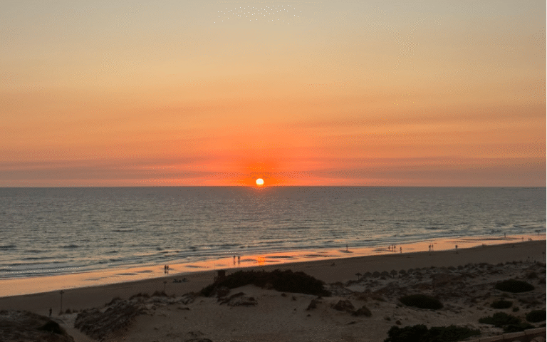 Recomendaciones del mes de Agosto