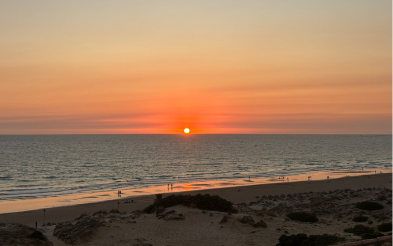 En este momento estás viendo Recomendaciones del mes de Agosto